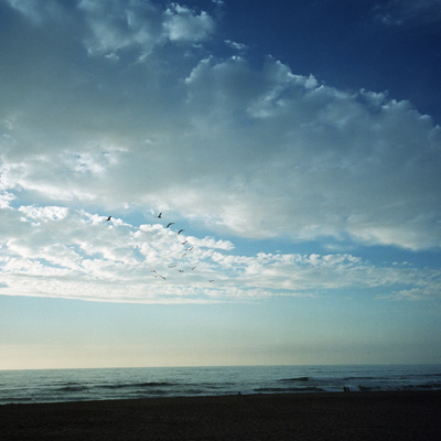 takahiroigarashi